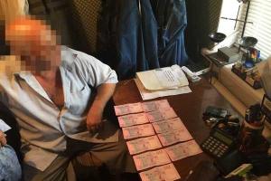 На Донетчине СБУ задержала чиновника за "торговлю" ветеринарными свидетельствами