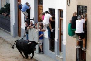 В Испании забег с быками для одного человека закончился трагически