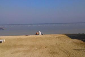 Туристический сезон в Крыму проходит под девизом "Денег нет" - блогер