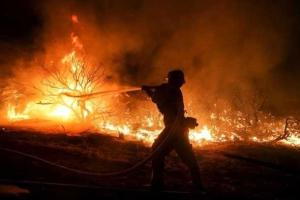 Калифорния охвачена лесными пожарами: замечены мощные огненные смерчи