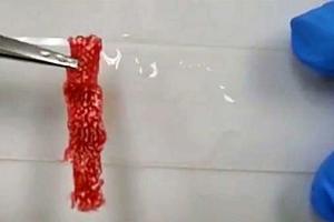 Ученые разработали технологию, позволяющую разорванной одежде самовосстанавливаться 