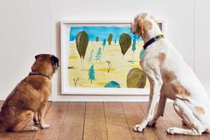 В Лондоне провели первую в мире выставку современного искусства для собак