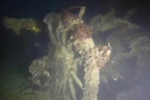 В Арктике исследователи обнаружили затонувший легендарный корабль Франклина