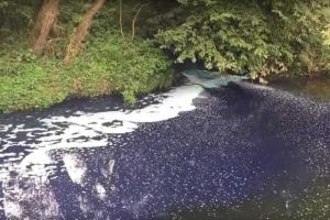 На Прикарпатье река Сивка окрашивается в разные цвета радуги