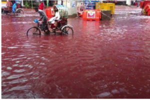 В столице Бангладеш после массового забоя животных по улицам города бегут кровавые реки