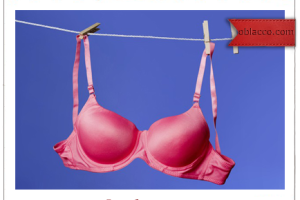 Сегодня женщины всего мира празднуют День рождения бюстгальтера