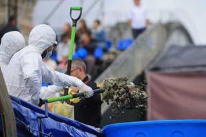 Россиянам стыдно, за "шоу", которое устраивает власть, подкармливая бесплатно толпу людей 