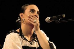 Фанаты Елены Ваенги разгневаны поведением на дороге ее личного водителя