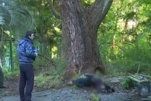 В Абхазии "случайно" подорвался соратник "Моторолы" - СМИ