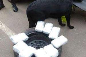 В КПВВ "Майорське" прикордонники затримали автомобіль "Nissan" з марихуаною в запасному колесі