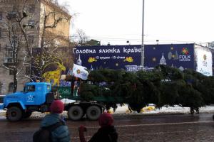 В Киеве на Софийской площади установили главную елку страны