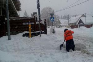В курортном Сочи выпало рекордное количество снега