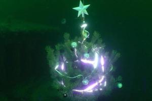 На дне Одесского залива дайверы установили новогоднюю елку