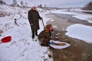 Степова: Импортозамещение по-российски...