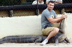 В Америке сын Виталия Кличко был атакован аллигатором