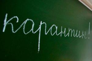 В связи с превышением уровня эпидемиологического порога, в школах "ЛНР" объявлен карантин