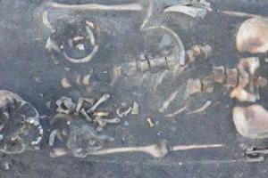 В Польше археологи обнаружили древние останки трех казненных "вампиров"