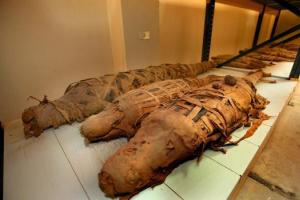 В Египте археологи обнаружили мумию огромного крокодила