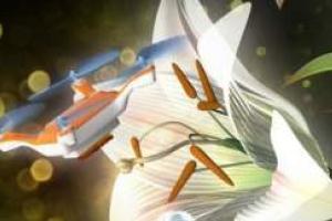 В Японии ученые создали пчел-дронов для опыления