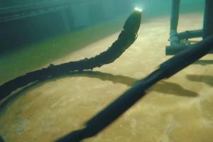 В Норвегии приступили к испытаниям робота-змеи для подводных работ