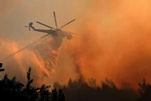 В зоне отчуждения на Киевщине спасатели ведут борьбу с лесным пожаром