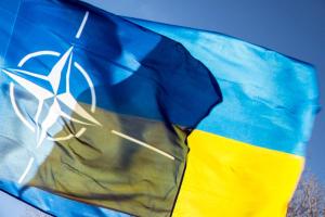 В Киеве под председательством Порошенко состоится заседание Комиссии Украина - НАТО