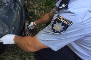 В Одесской области задержан мужчина, убивший во время застолья 19-летнего приятеля