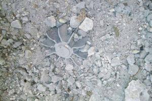Жилые кварталы Марьинки попали под минометный обстрел, - Жебривский