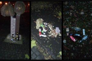 В Киеве митингующие под Радой превращают Мариинский парк в помойку - мнение киевлян
