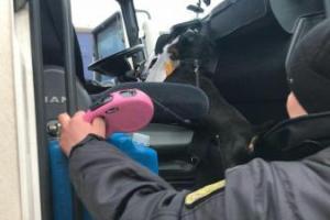 Пограничники на украинско-румынской границе задержали с марихуаной гражданина Беларуси