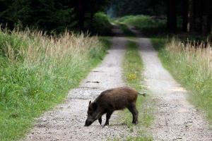 Польша построит стену на границе с Украиной 