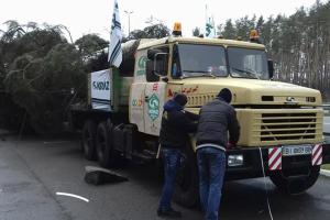 В Киев доставили главную новогоднюю елку страны