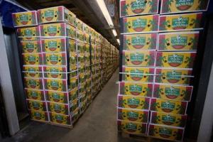 В Испании задержали партию колумбийского кокаина стоимостью 210 млн евро