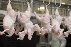 Боевики "ДНР" запретили ввоз яиц и мяса птицы