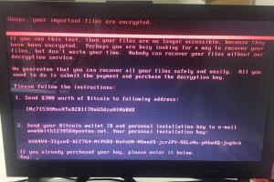 СБУ установила российское происхождение хакерских атак на правительственные информсистемы