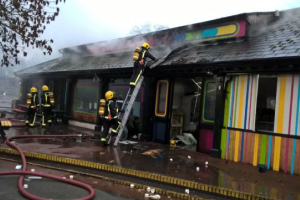 В Лондонском зоопарке произошел масштабный пожар