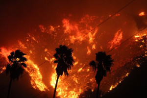 В Калифорнии бушуют пожары: продолжается эвакуация населения, известно имя первой жертвы