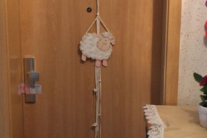 В Германии полиция обнаружила в морозильной камере двух новорожденных младенцев 