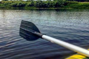 Забил веслом и утопил: в Одесской области мужчину посадили на 10 лет за убийство родной бабушки