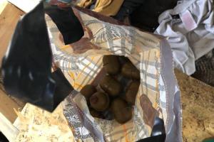 В палаточном городке под ВР найдены гранаты и "коктейли Молотова" - Шкиряк