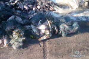 На Киевщине экс-начальника районной рыбинспекции задержали за браконьерство 