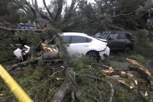 Шторм "Альберто" забрал жизни двух журналистов канала NBC