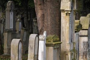 В Польше напали на лагерь украинцев, восстанавливающих греко-католическое кладбище