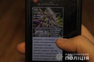 На Тернопольщине группа студентов распространяла наркотики через Сеть
