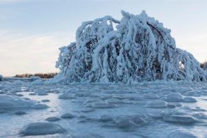 В США экстремальные морозы сковали льдом Ниагарский водопад