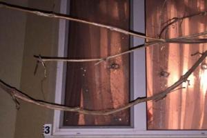 В Ровно под обстрел попал дом председателя городского суда