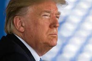 Трамп готов ввести в США чрезвычайное положение