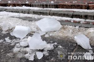 В Полтаве впала в кому 6-летняя девочка, пострадавшая при падении с крыши ледяной глыбы