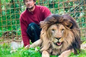 В Чехии лев растерзал своего хозяина