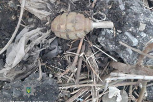 В Лисичанске посреди улицы прохожий нашел гранату